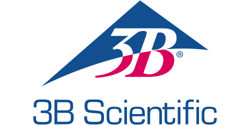 3B Scientific