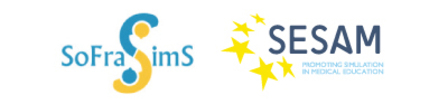 SoFraSimS Logo